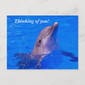 Carte Postale Pensée à vous ! (Devant)