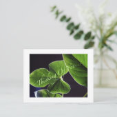 Carte Postale Pensée à vous… (Debout devant)