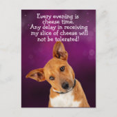 Carte Postale Pensée de chien drôle (Devant)