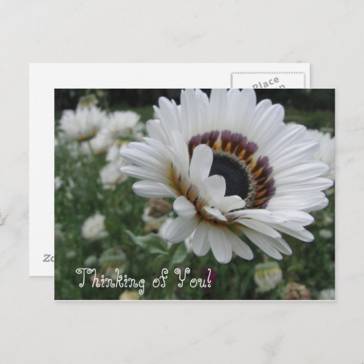 Carte Postale Pensée enjouée de toi (Devant / Derrière)