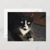 Carte postale Pensée pour toi (Devant / Derrière)