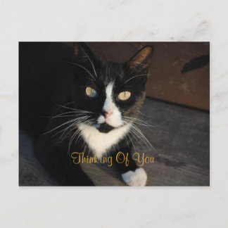 Carte postale Pensée pour toi