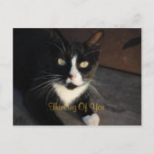 Carte postale Pensée pour toi (Devant)