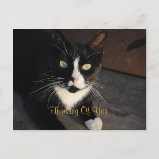 Carte postale Pensée pour toi (Devant)