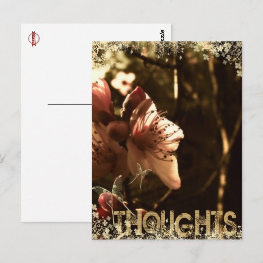 Carte postale Pensées (Devant / Derrière)