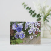 Carte Postale Pensées Florales Violettes Rustiques (Debout devant)
