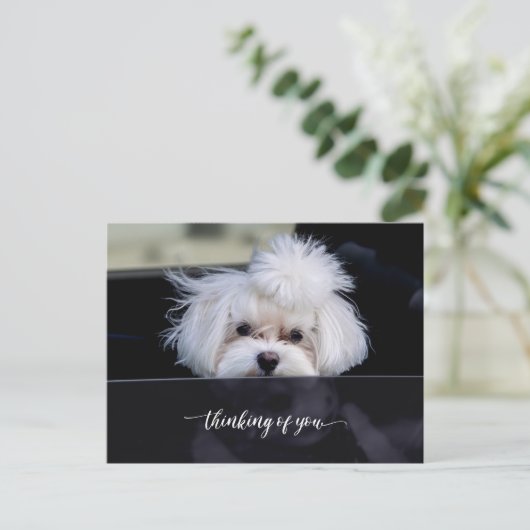 Carte postale Pensées pour toi (Debout devant)