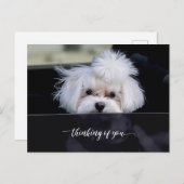 Carte postale Pensées pour toi (Devant / Derrière)