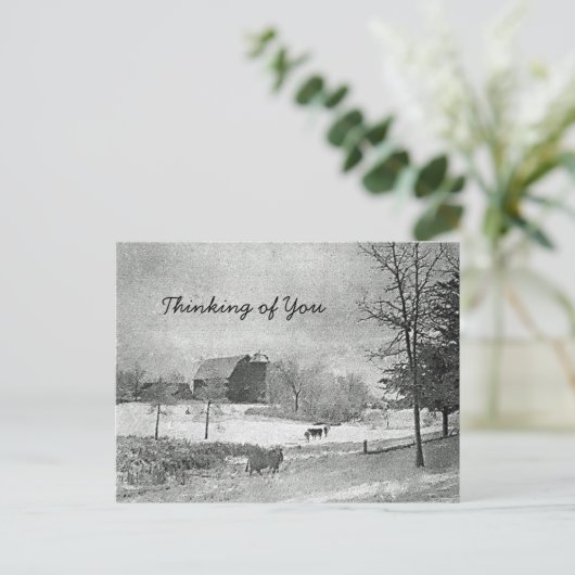 Carte Postale Pensées pour vous (Debout devant)