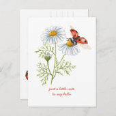 Carte Postale Pensées pour vous Marguerites et coccinelle (Devant / Derrière)