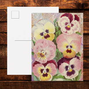 Carte Postale Pensées roses et violettes et Éphémère de dentelle