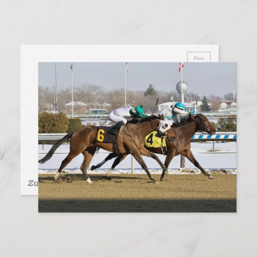 Carte Postale Penser à Glenn bat Charming Cara (Devant / Derrière)