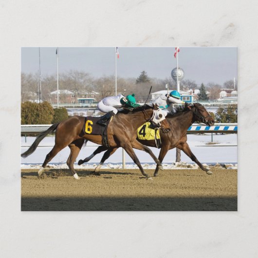 Carte Postale Penser à Glenn bat Charming Cara (Devant)