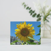 Carte Postale Penser à propos de vous tournesol photographie (Debout devant)