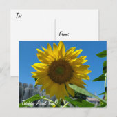 Carte Postale Penser à propos de vous tournesol photographie (Devant / Derrière)