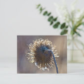 Carte Postale Penser à toi (Debout devant)