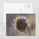 Carte Postale Penser à toi (Devant / Derrière)