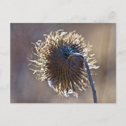 Carte Postale Penser à toi (Devant)