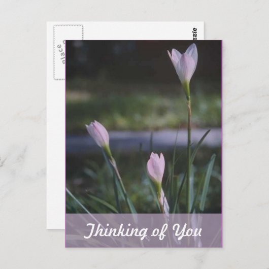Carte Postale Penser à toi (Devant / Derrière)