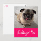 Carte Postale Penser à votre Carlin Chien Chien de Salutation Ca (Devant / Derrière)