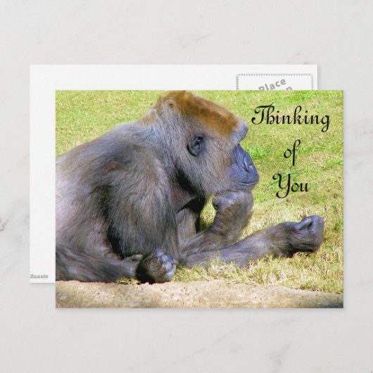 Carte Postale Penser à vous_ (Devant / Derrière)