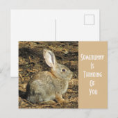 Carte Postale Penser À Vous Adorable Lapin Brown Sauvage (Devant / Derrière)
