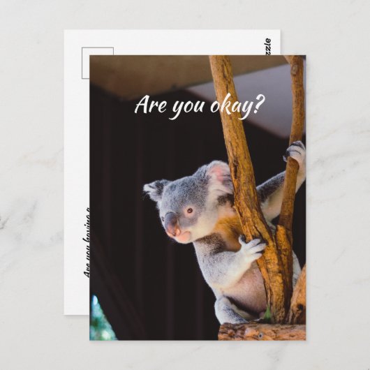 Carte Postale Penser à vous amusez Koala Faites-moi savoir que v (Devant / Derrière)