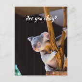 Carte Postale Penser à vous amusez Koala Faites-moi savoir que v (Devant)