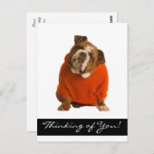 Carte Postale Penser à vous Anglais Bulldog Chien Chien Chien Ch (Devant / Derrière)