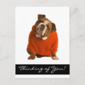 Carte Postale Penser à vous Anglais Bulldog Chien Chien Chien Ch (Devant)