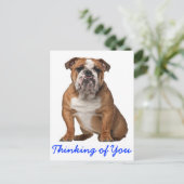 Carte Postale Penser à vous Anglais Bulldog Chien Chien Chien Ch (Debout devant)