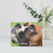 Carte Postale Penser à vous Boxer - Vindy (Debout devant)