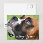 Carte Postale Penser à vous Boxer - Vindy (Devant / Derrière)