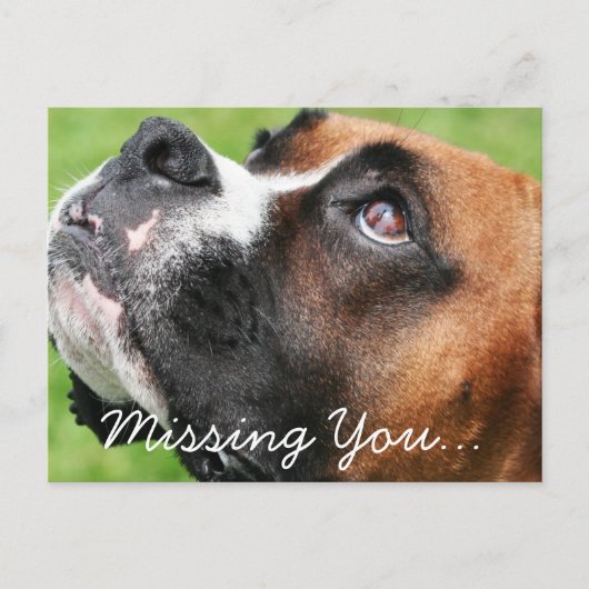 Carte Postale Penser à vous Boxer - Vindy (Devant)