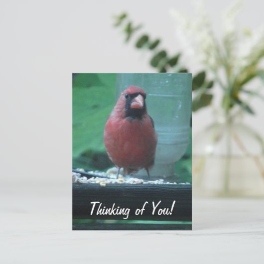 Carte Postale Penser à vous Cardinal (Debout devant)