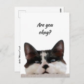 Carte Postale Penser à vous Chat drôle Dites-moi que vous allez  (Devant / Derrière)