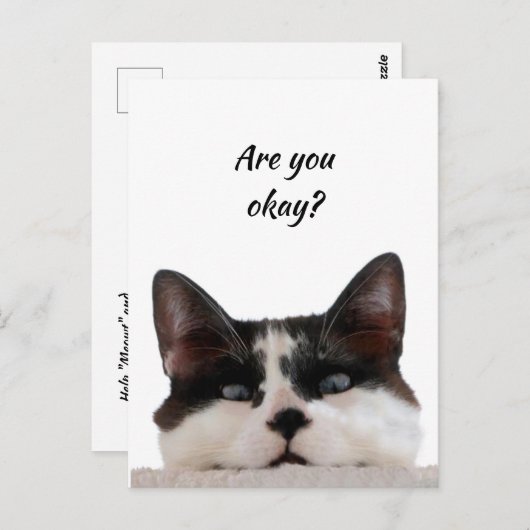 Carte Postale Penser à vous Chat drôle Dites-moi que vous allez  (Devant / Derrière)