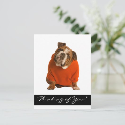 Carte Postale Penser à vous Chien Chien Chien Chien Chien Chien  (Debout devant)