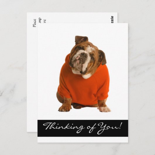 Carte Postale Penser à vous Chien Chien Chien Chien Chien Chien  (Devant / Derrière)