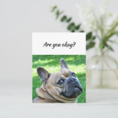 Carte Postale Penser à vous chien drôle Dites-moi que vous allez (Debout devant)