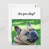 Carte Postale Penser à vous chien drôle Dites-moi que vous allez (Devant / Derrière)