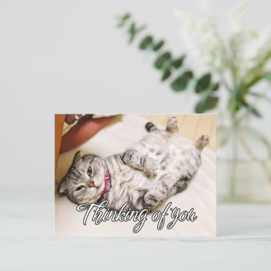 Carte Postale Penser À Vous - Cute Kitty Chat (Debout devant)