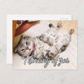 Carte Postale Penser À Vous - Cute Kitty Chat (Devant / Derrière)