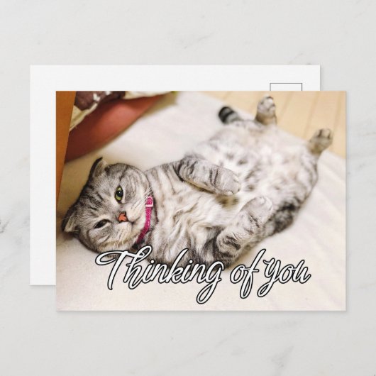 Carte Postale Penser À Vous - Cute Kitty Chat (Devant / Derrière)