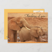 Carte Postale Penser À Vous Eléphants Africains (Devant / Derrière)