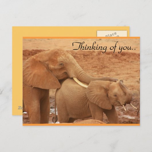 Carte Postale Penser À Vous Eléphants Africains (Devant / Derrière)