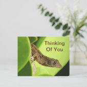 Carte Postale Penser À Vous Feuilles Reptile Gecko Amitié (Debout devant)