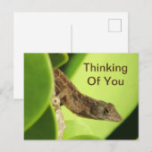 Carte Postale Penser À Vous Feuilles Reptile Gecko Amitié (Devant / Derrière)