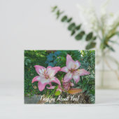 Carte Postale Penser À Vous Jolies Lys Roses (Debout devant)