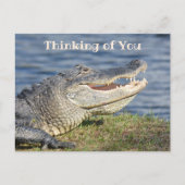 Carte Postale Penser à vous me fait sourire Alligator (Devant)